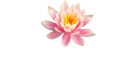 Yogaverse